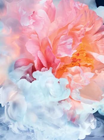 Dior — imagen 2