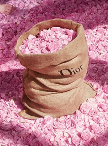 Dior — imagen 5