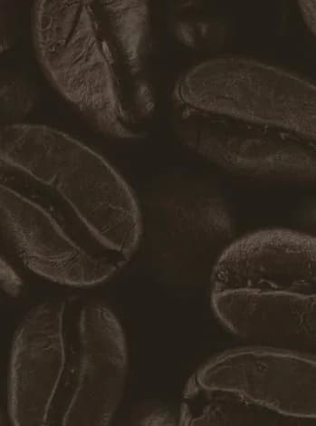 Marley Coffee — imagen 2